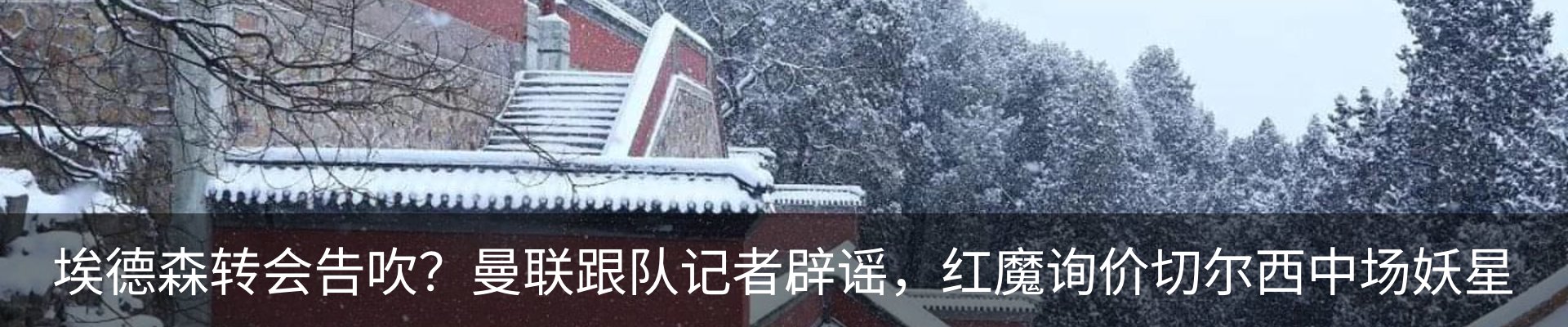 新闻动态