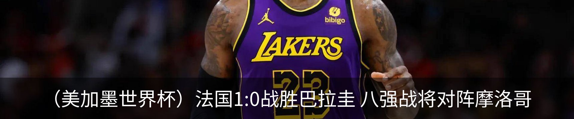 新闻动态