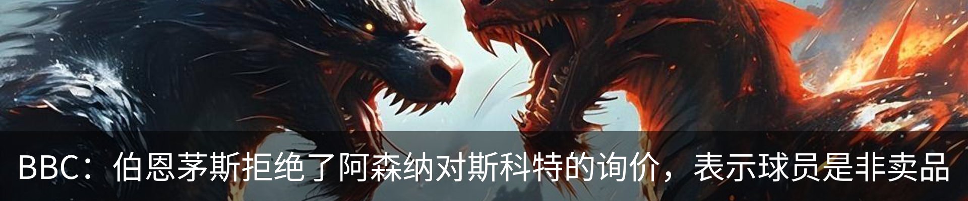 新闻动态